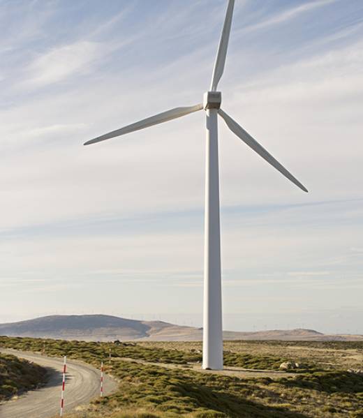 wind-farms-fields wind-farms-fields